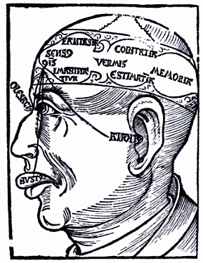 Ventricles il·lustrats per Hyeronymous Brunschwig