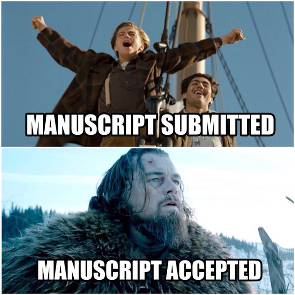 Manuscript Accepted
