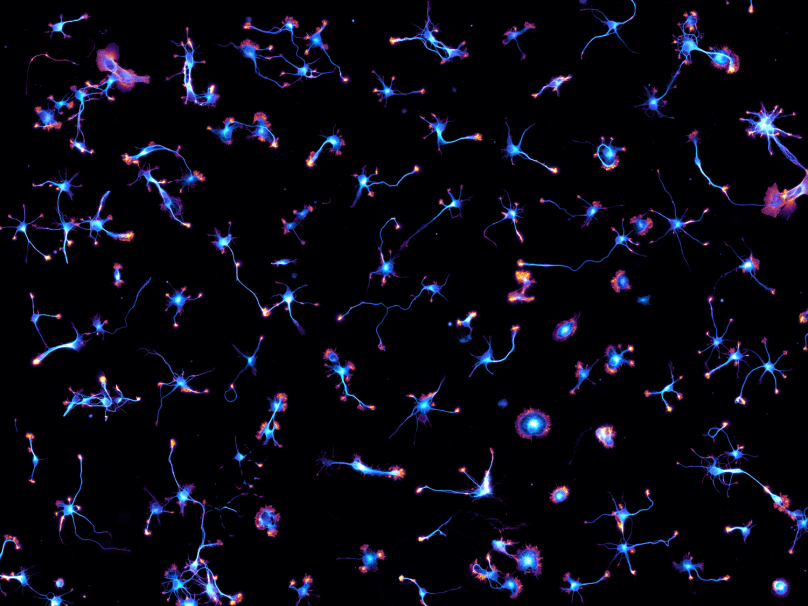 Starry Night by Christophe Leterrier