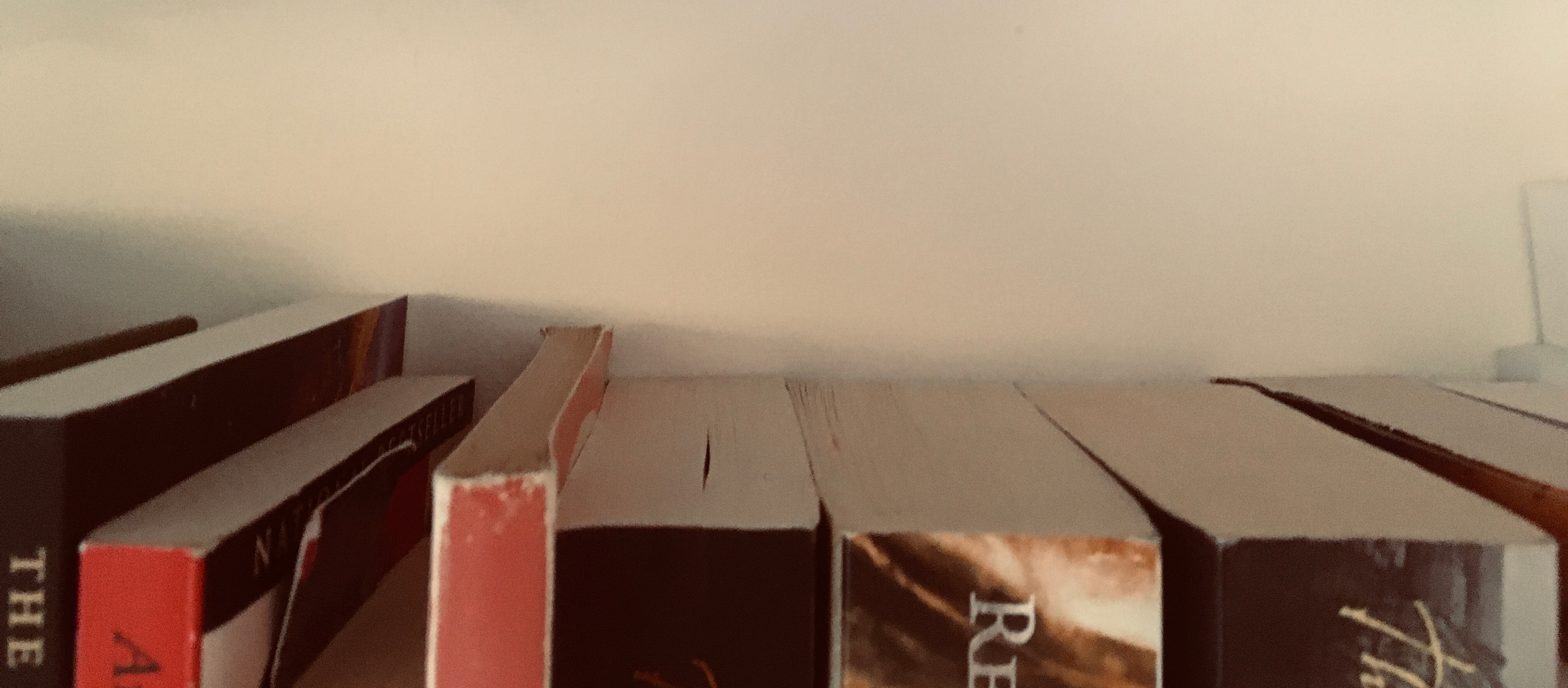 20 long reads to #StayAtHome – La Neurona Errant